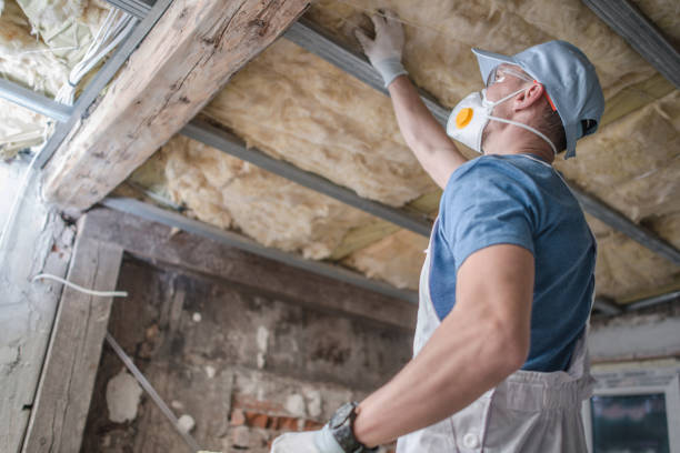 Professional Insulation Contractor in New Deal, TX